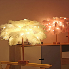 Feather Lamp Nordic Desk Lamp European-Style