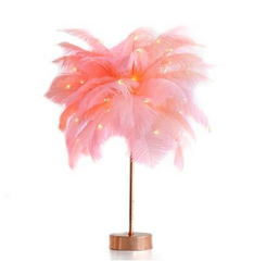 Feather Lamp Nordic Desk Lamp European-Style