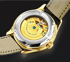 Automatic Mechanical Carnival Watch For Men