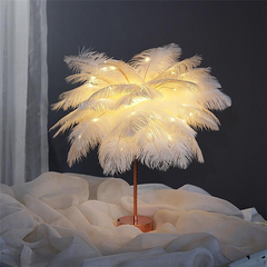 Feather Lamp Nordic Desk Lamp European-Style