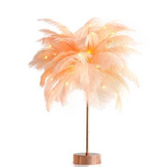 Feather Lamp Nordic Desk Lamp European-Style